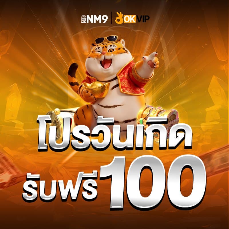 nm9zone โปรโมชั่น 2