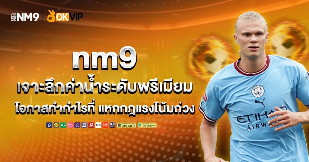 nm9zone บทความ 1